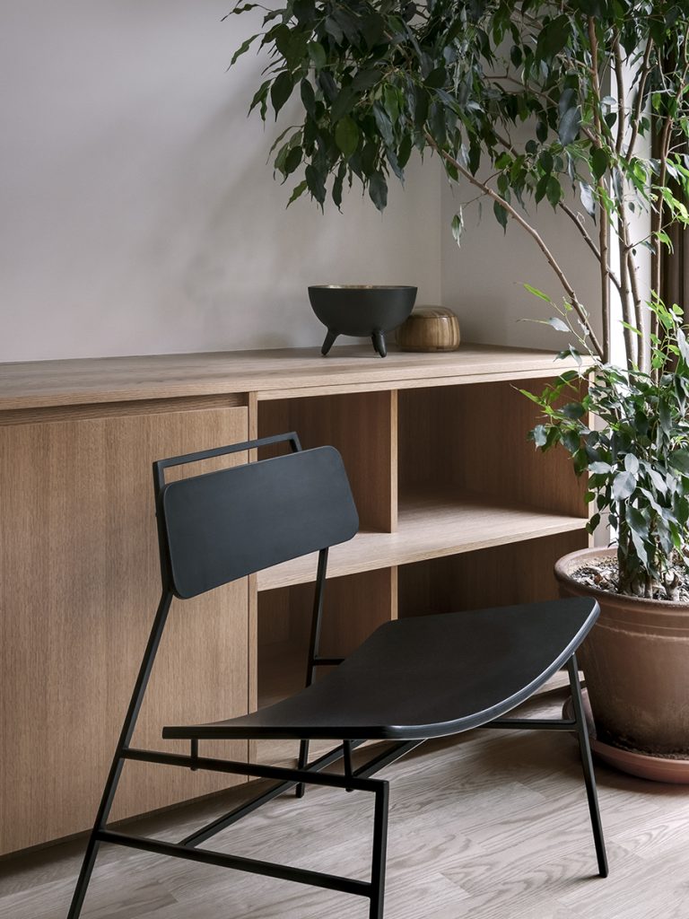 APPAREIL_architecture_Maison PHENIX_2020_Félix Michaud_BR_011