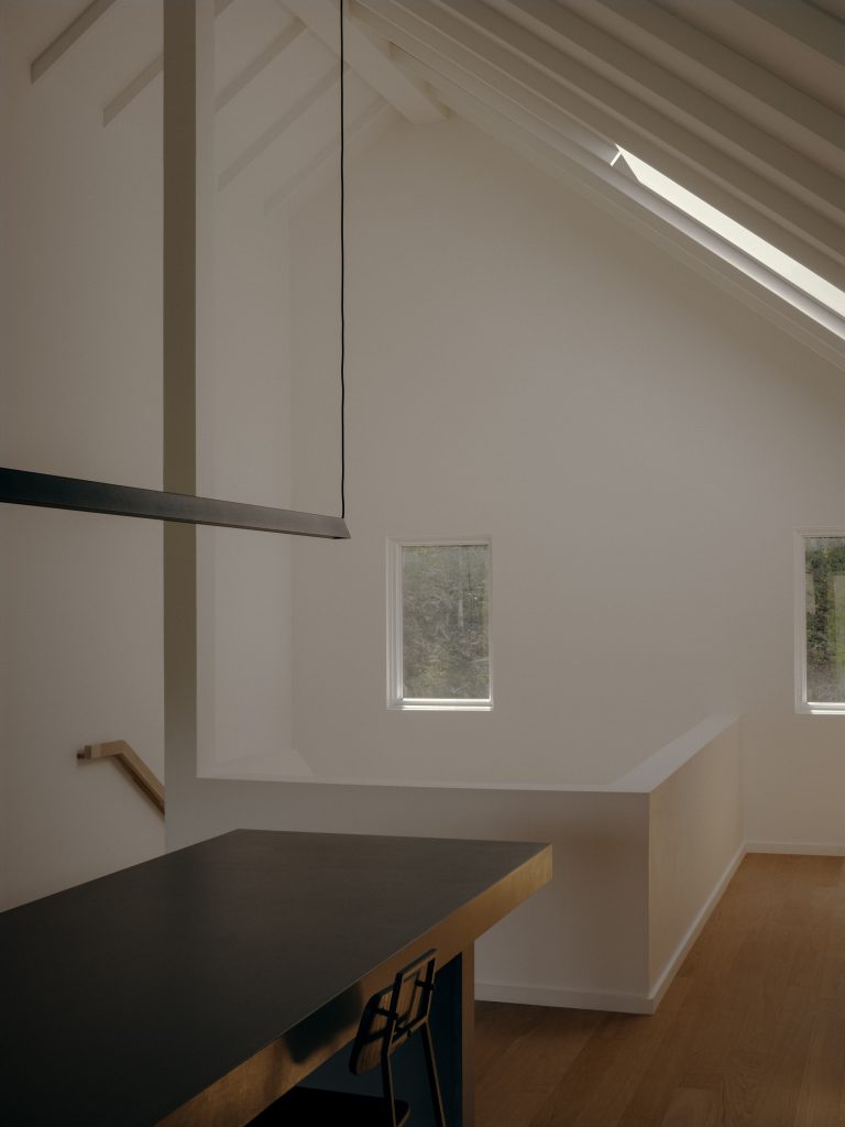 Catskill_NY_APPAREIL Architecure_©FelixMichaud_BR14