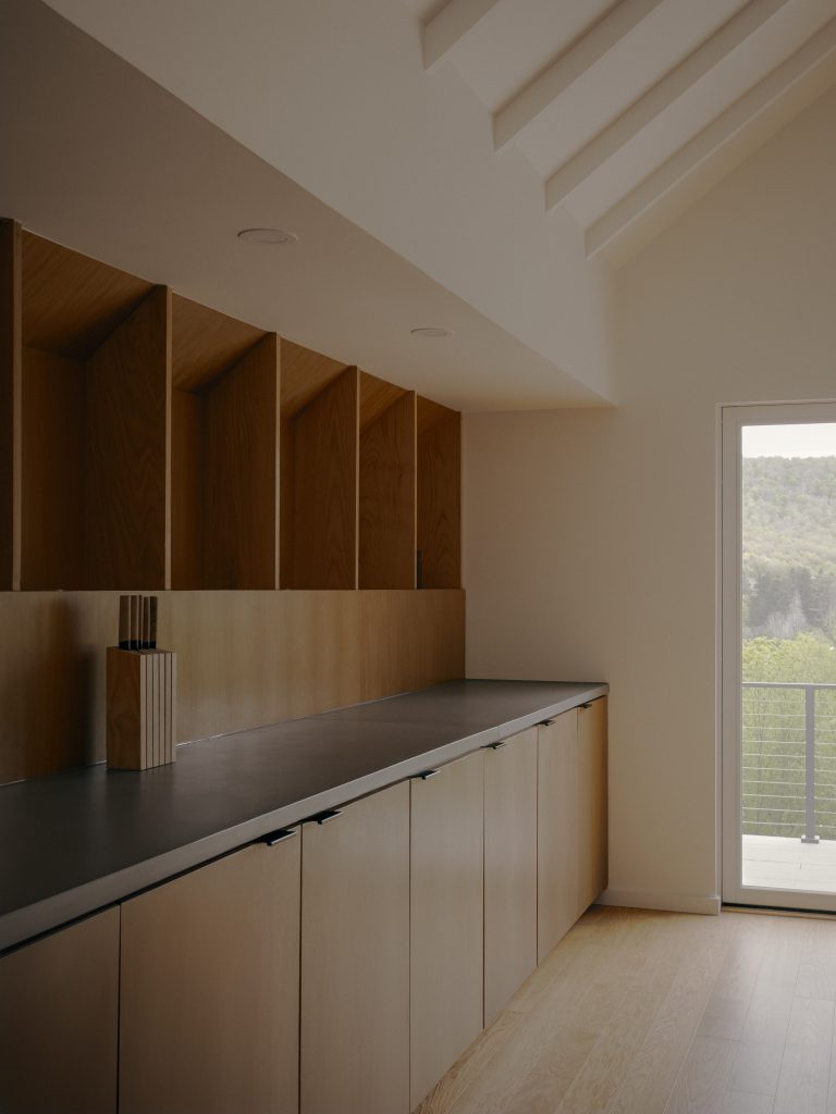 Catskill_NY_APPAREIL Architecure_©FelixMichaud_BR17