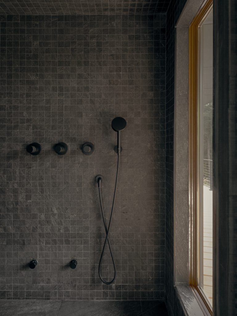Catskill_NY_APPAREIL Architecure_©FelixMichaud_BR21