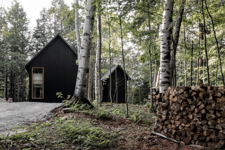 APPAREILarchitecture_Projet Grand-Pic_2017_Félix Michaud_05