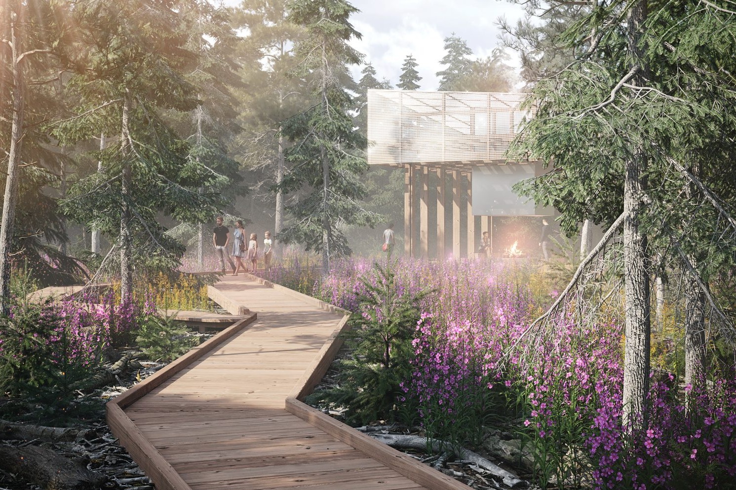 20220401_EMERAUDE_Rendu_Cedriere_Etape_2_-hyper-media-innovation-1536x994