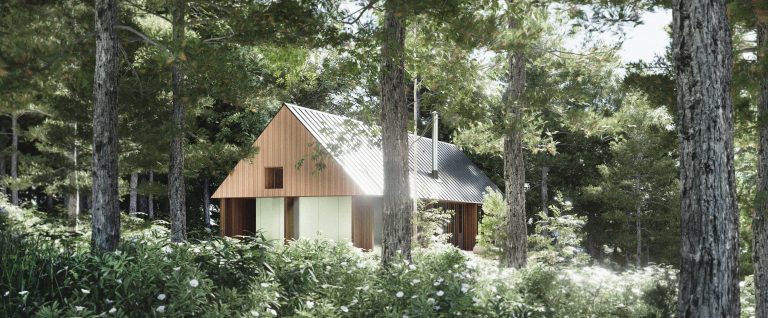 Appareil Architecture_Projet Petit Bois (Lac Creux)_Rendu 01